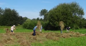 volunteers-stacking-hay-on-the-green