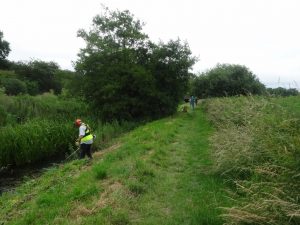 2016-july-10-clearing-bank-of-new-reach