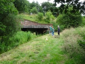 2016-july-10-raking-cut-material-new-reach