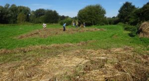 2016-sept-11-raking-cut-material-folly-meadow