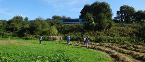 2016-sept-11-watching-the-train