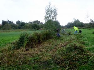 3-2016-oct-9-clearing-side-of-ditch-latitude-field