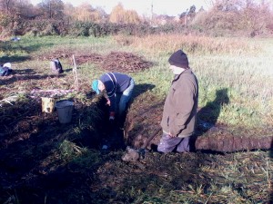 2015 dec 7 beginning Louise's pond