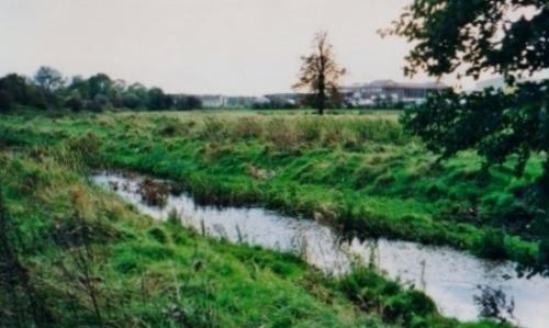 3.1999 Chestnut meadow and New Reach from Footpath 11 near White bridge